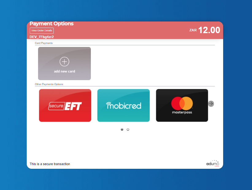 Payment Options Example Page